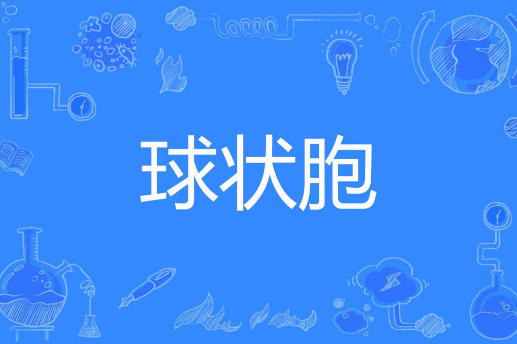 球狀胞 球狀胞