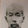 秦樹聲 秦樹聲