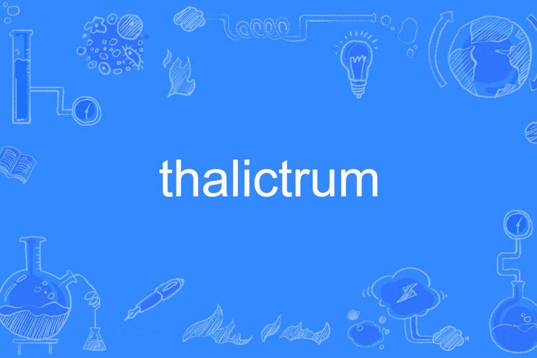 thalictrum thalictrum