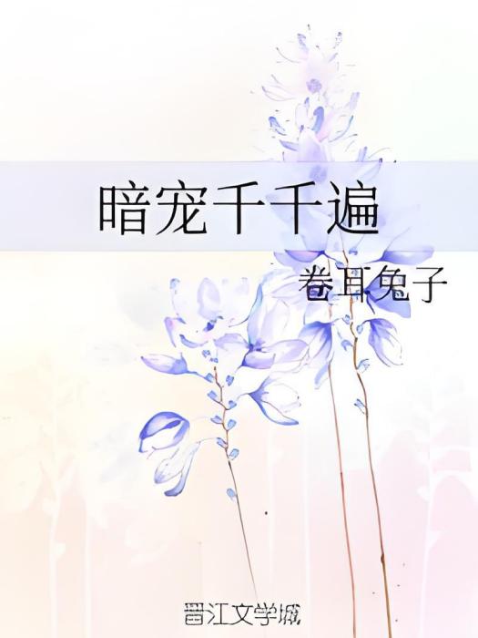 暗寵千千遍 暗寵千千遍