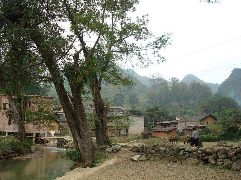 者嶺村