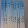新時代文叢 新時代文叢