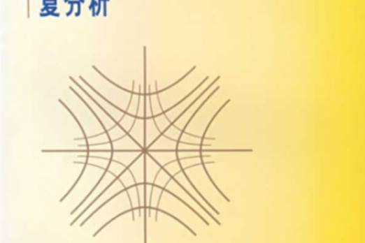 複分析(2008年世界圖書出版公司北京公司出版的圖書) 複分析(2008年世界圖書出版公司北京公司出版的圖書)
