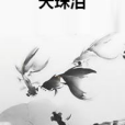 天珠淚 天珠淚