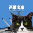 西蒙出海 西蒙出海