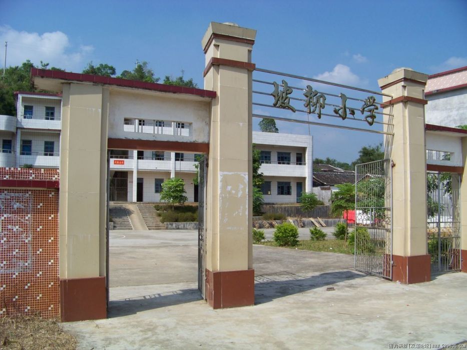 坡柳國小 坡柳國小