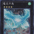 電光千鳥 電光千鳥