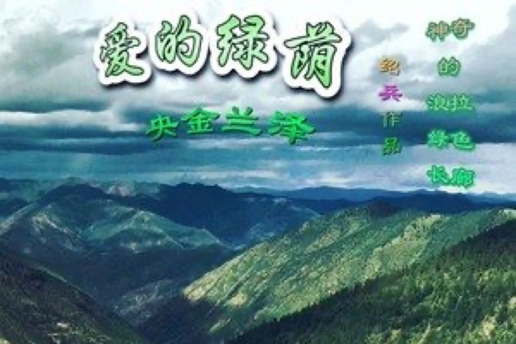 愛的綠蔭 愛的綠蔭