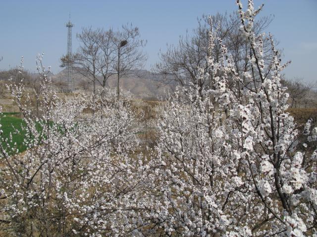 二郎山鄉