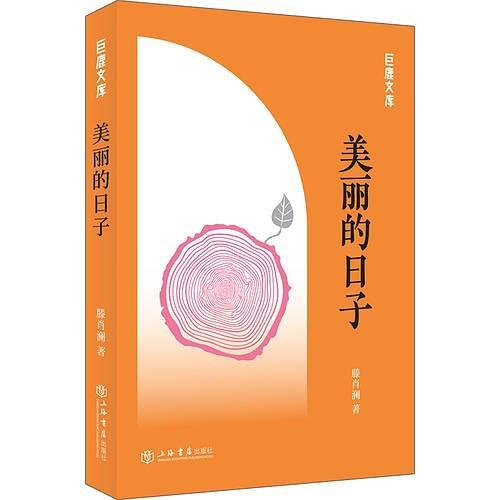 美麗的日子(滕肖瀾所著小說) 美麗的日子(滕肖瀾所著小說)