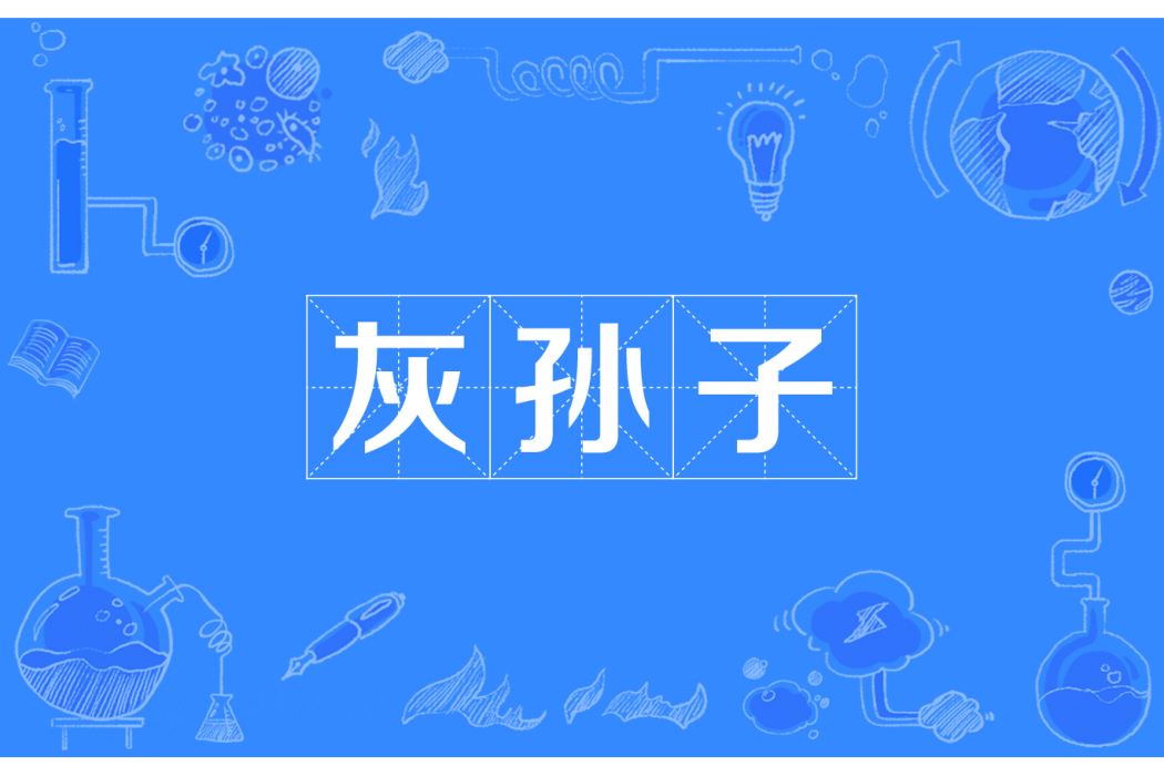 灰孫子 灰孫子