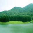 小馬村(廣西區北流市大里鎮小馬村) 小馬村(廣西區北流市大里鎮小馬村)