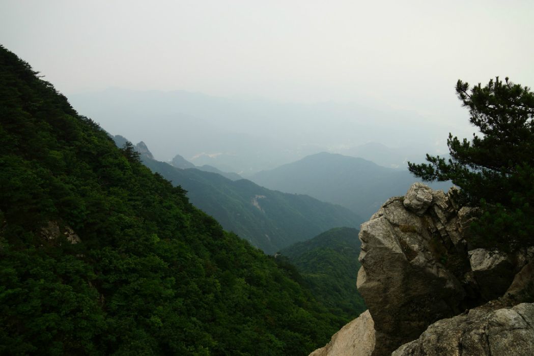 長江河村 長江河村
