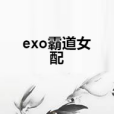 exo霸道女配 exo霸道女配