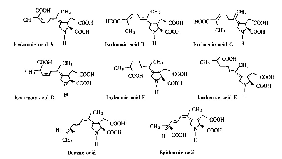 軟骨藻酸及其異構體結構