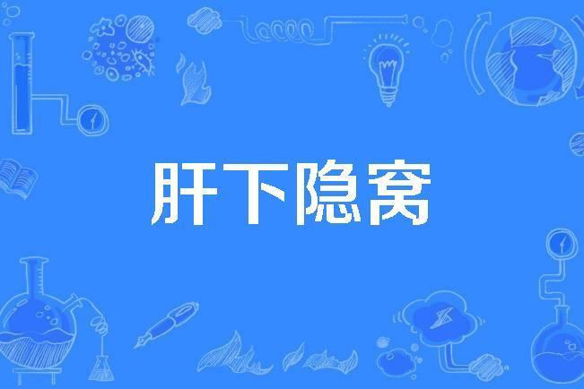 肝下隱窩 肝下隱窩