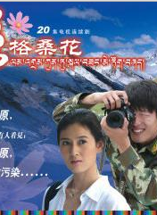 任帥(黑龍江哈爾濱藉演員)