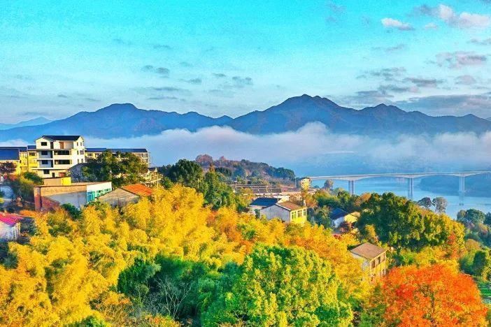 銀頂山村 銀頂山村