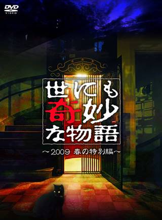伊東美咲(伊東美) 伊東美咲(伊東美)