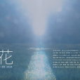 無色花(《乘風2024》主題曲) 無色花(《乘風2024》主題曲)