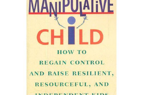 The Manipulative Child The Manipulative Child