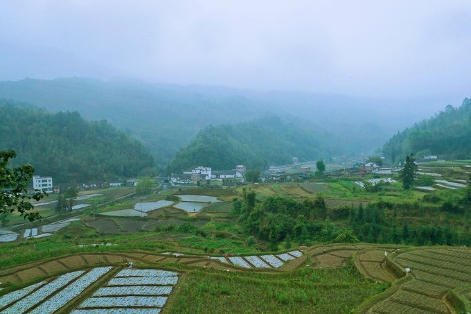 下白村(雲南省蘭坪白族普米族自治縣營盤鎮下轄村) 下白村(雲南省蘭坪白族普米族自治縣營盤鎮下轄村)