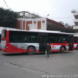重慶公交509路 重慶公交509路