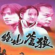 絕地蒼狼(1998年唐文龍主演電視劇) 絕地蒼狼(1998年唐文龍主演電視劇)