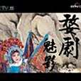 婺劇魅影 婺劇魅影