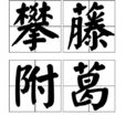 攀藤附葛 攀藤附葛