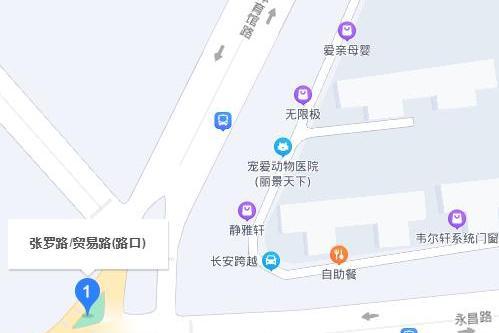 張羅路 張羅路