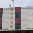 菌柄村 菌柄村