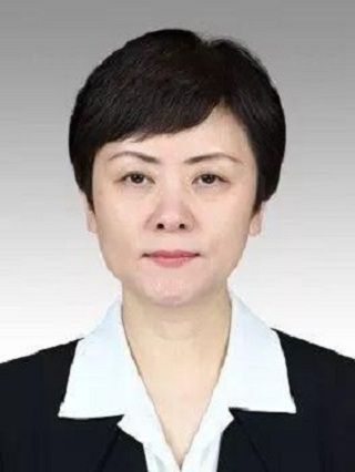 周嵐(上海市商務委員會副主任) 周嵐(上海市商務委員會副主任)