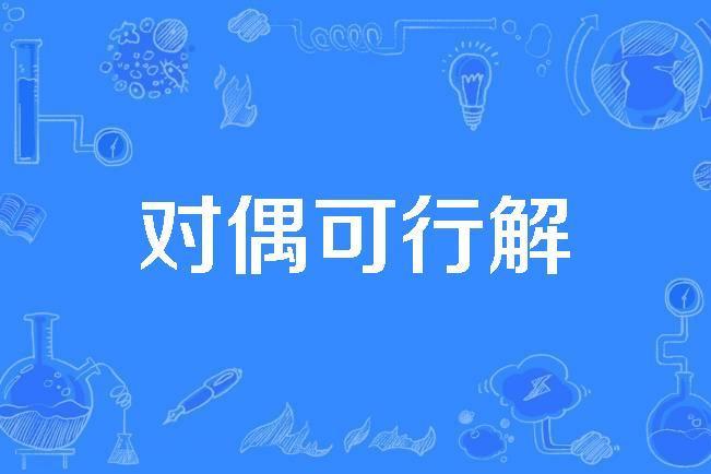 對偶可行解 對偶可行解