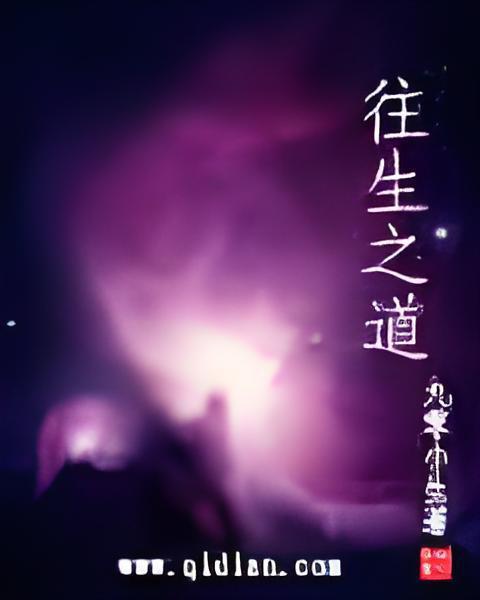 往生之道 往生之道