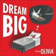 Dream Big Dream Big