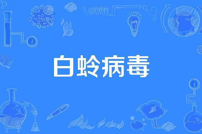 白蛉病毒 白蛉病毒