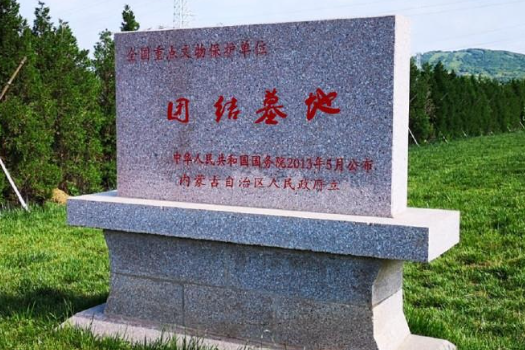 團結墓地 團結墓地
