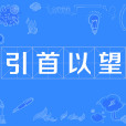 引首以望
