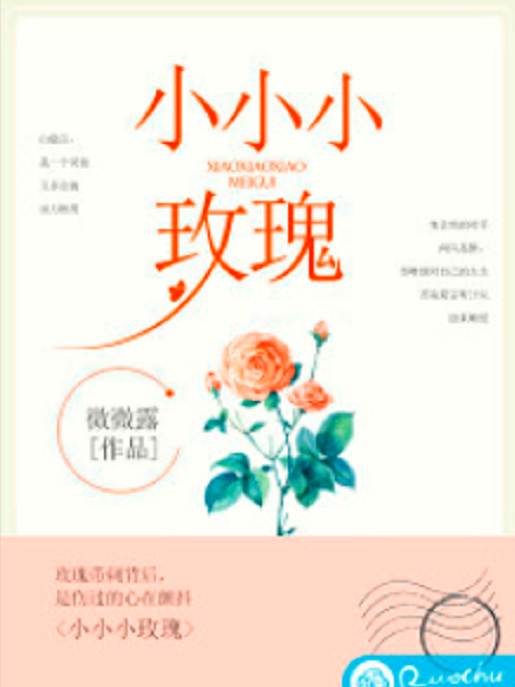 小小小玫瑰 小小小玫瑰