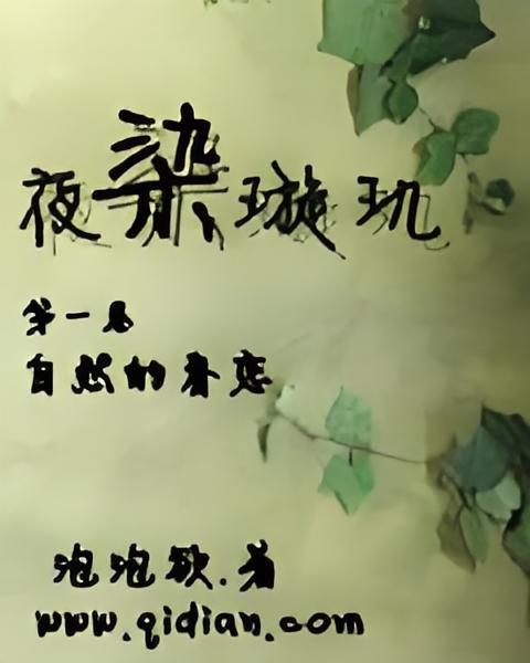 夜染璇璣 夜染璇璣