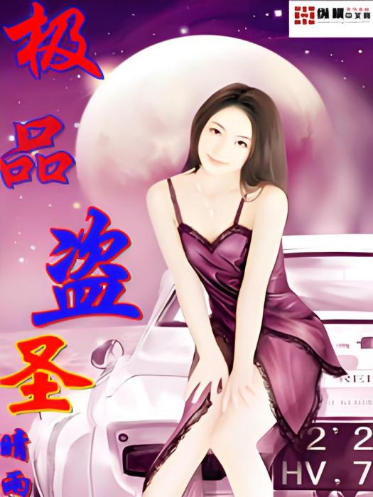 極品盜聖 極品盜聖