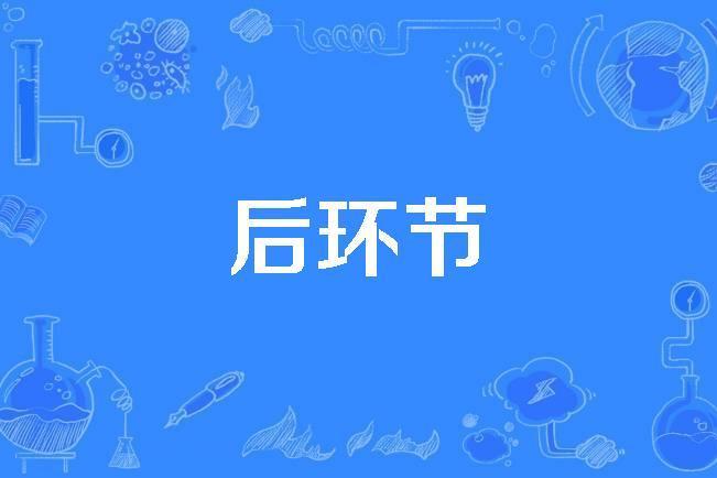 後環節 後環節
