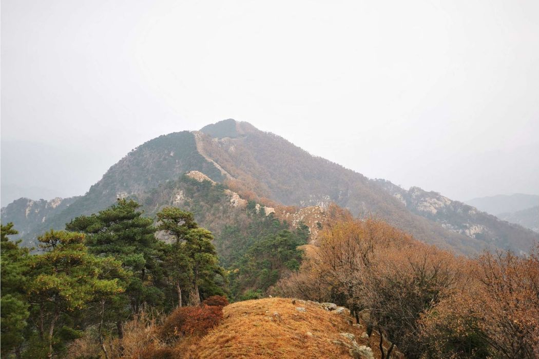 孤頂子山 孤頂子山