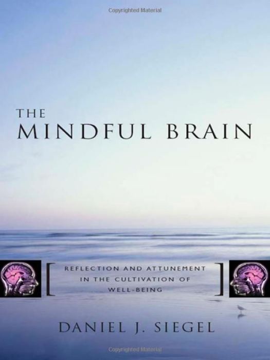 The Mindful Brain The Mindful Brain