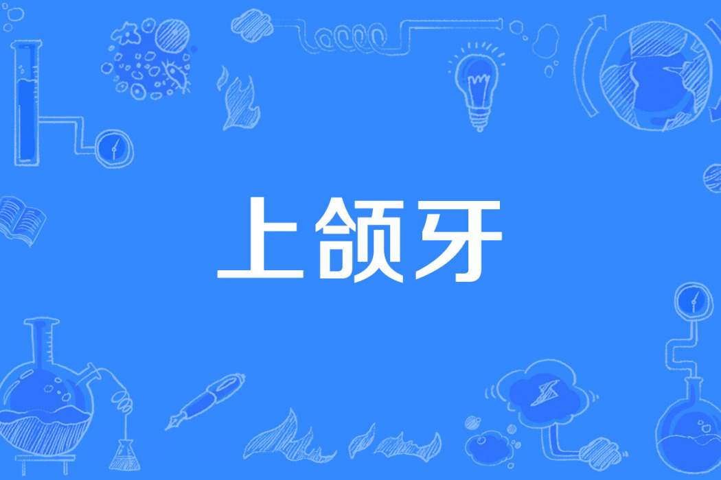 上頜牙 上頜牙