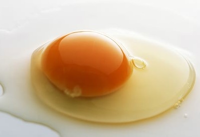 補鐵食物：雞蛋黃