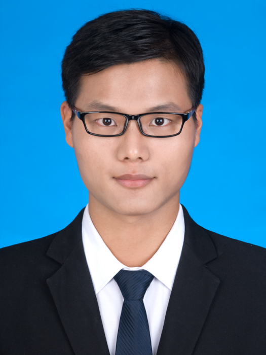 趙士林(中南大學特聘教授) 趙士林(中南大學特聘教授)
