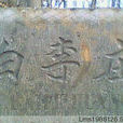 白李村(山東省巨野縣太平鎮白李村) 白李村(山東省巨野縣太平鎮白李村)