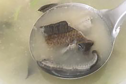 清湯鱔魚 清湯鱔魚
